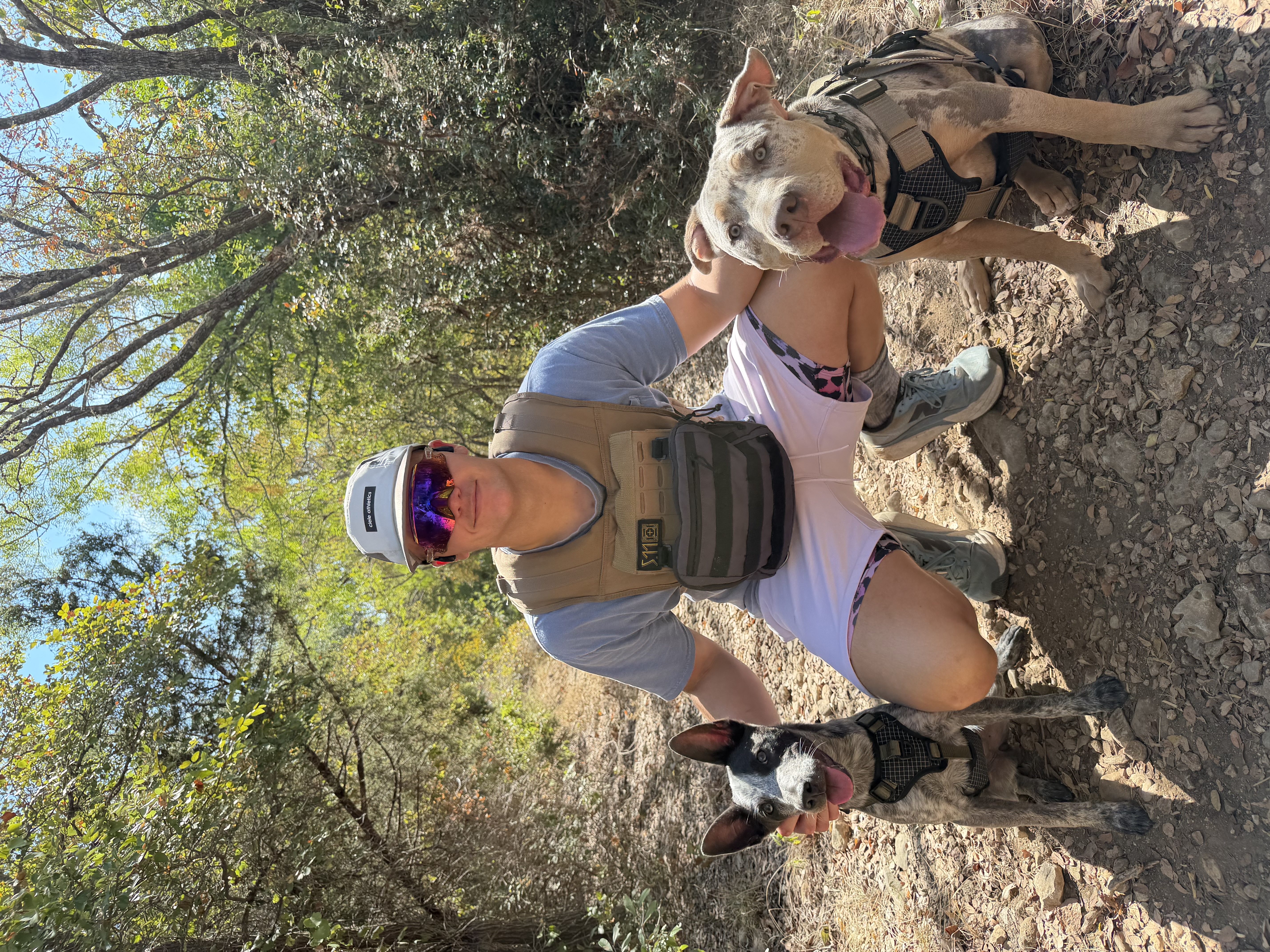 Dog Run