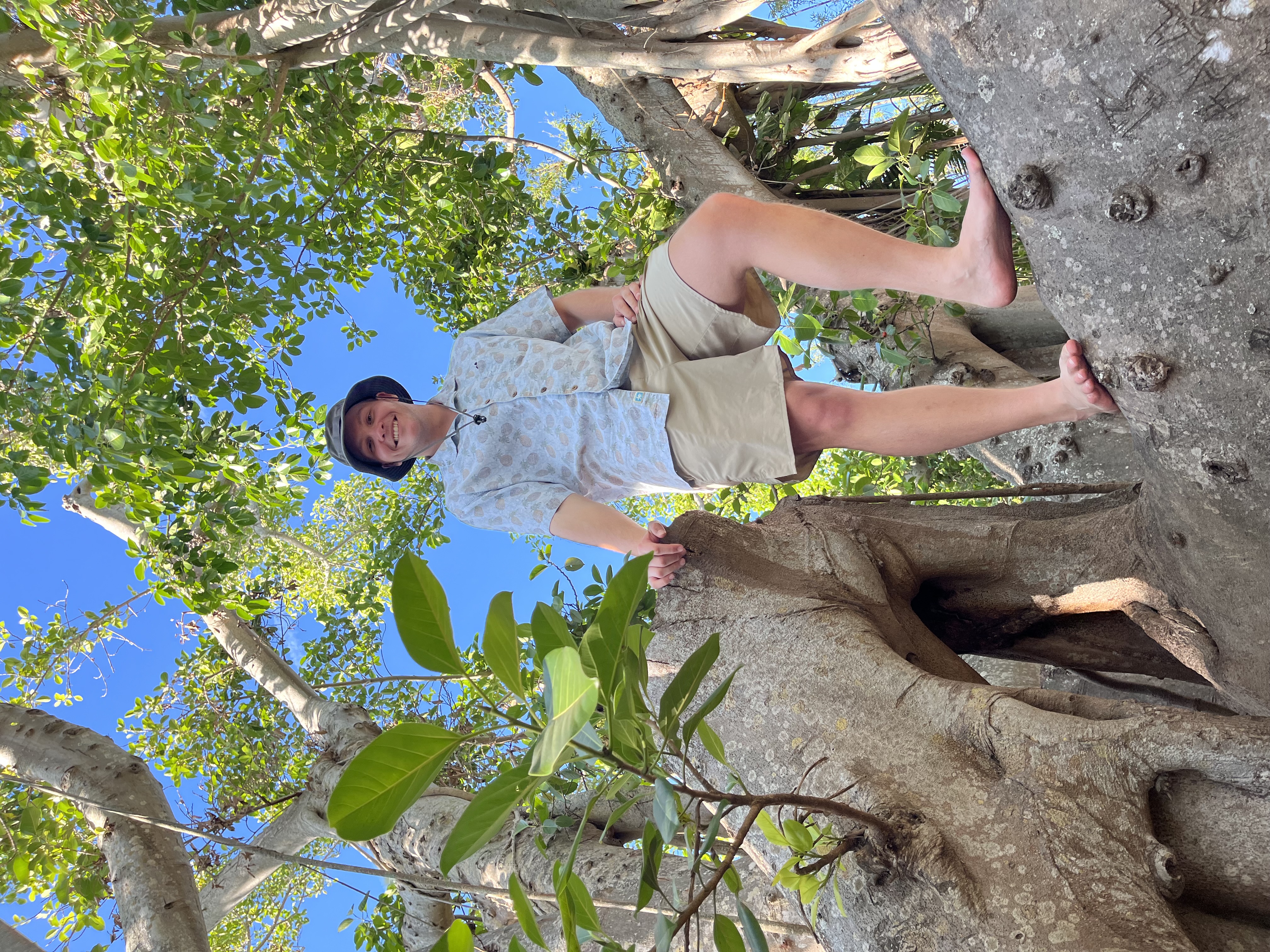 Lucas climbing tropical tree — island life
