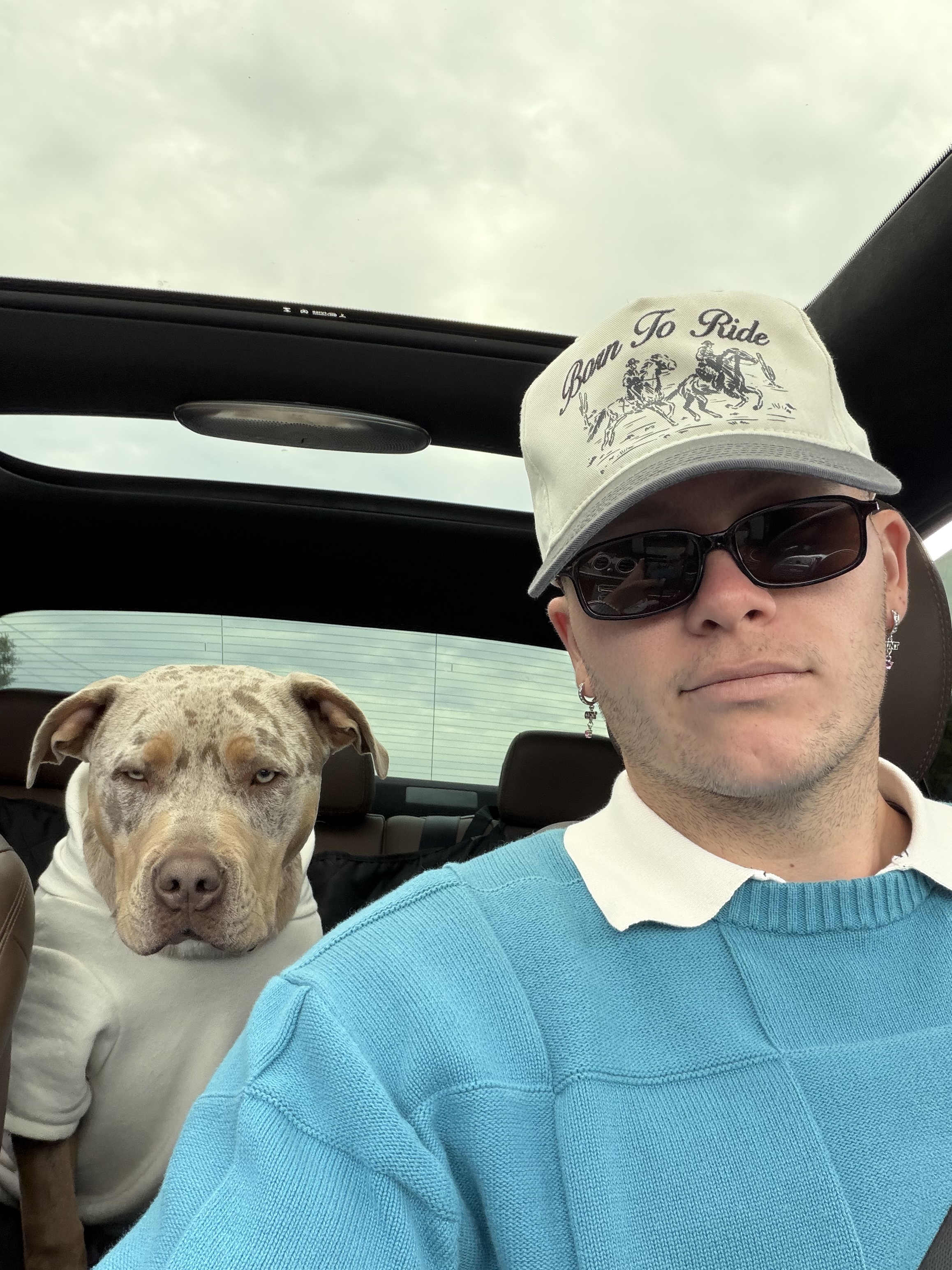 Road Trip